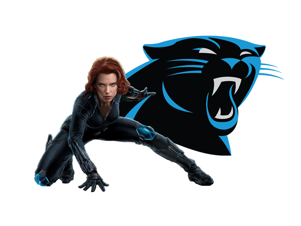 Carolina Panthers Black Widow Logo vinyl decal